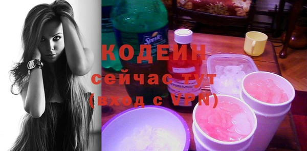 прущие грибы Дмитриев