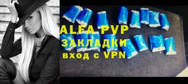 прущие грибы Дмитриев