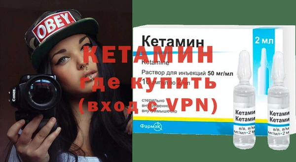 прущие грибы Дмитриев