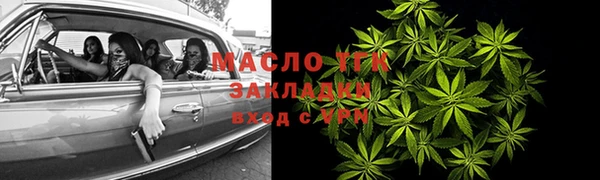 прущие грибы Дмитриев