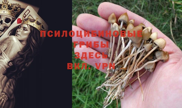 ALPHA PVP Дмитров