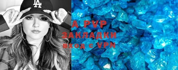 прущие грибы Дмитриев