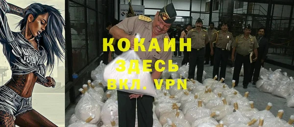 прущие грибы Дмитриев